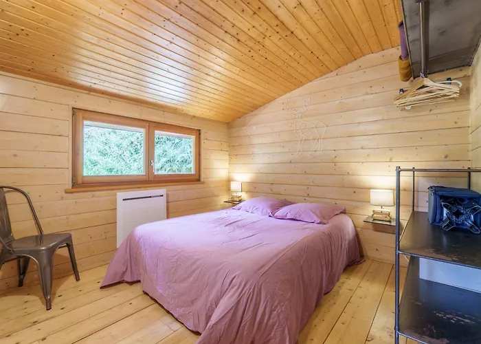 Brin De Belle Hutte - Proche Station De La Bresse